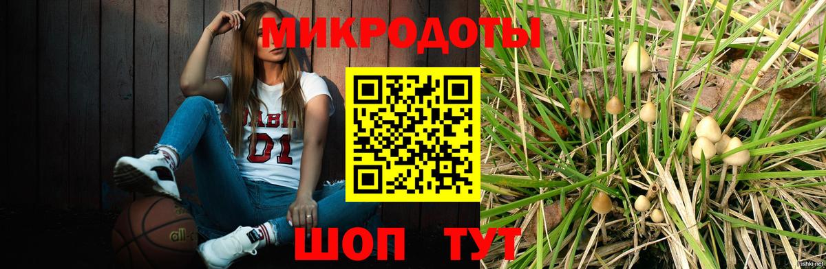 Галлюциногенные грибы Psilocybe  Вход с VPN  купить  сайты  Димитровград 